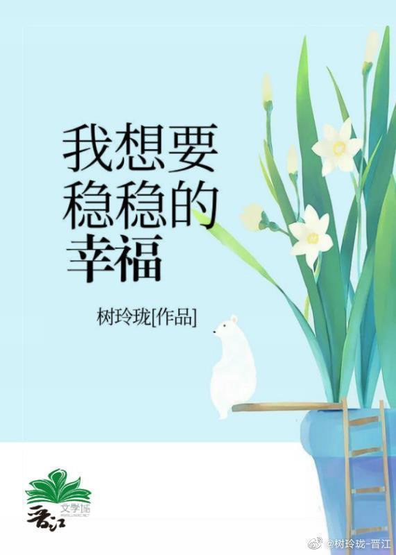我要的稳稳的幸福封面