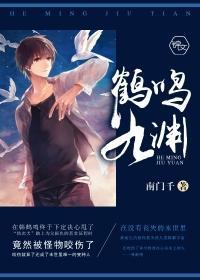 鹤鸣九渊封面