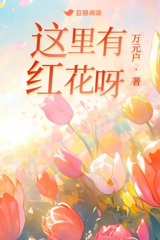 这裏有红花呀封面