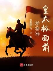 穿越到皇太极面前封面