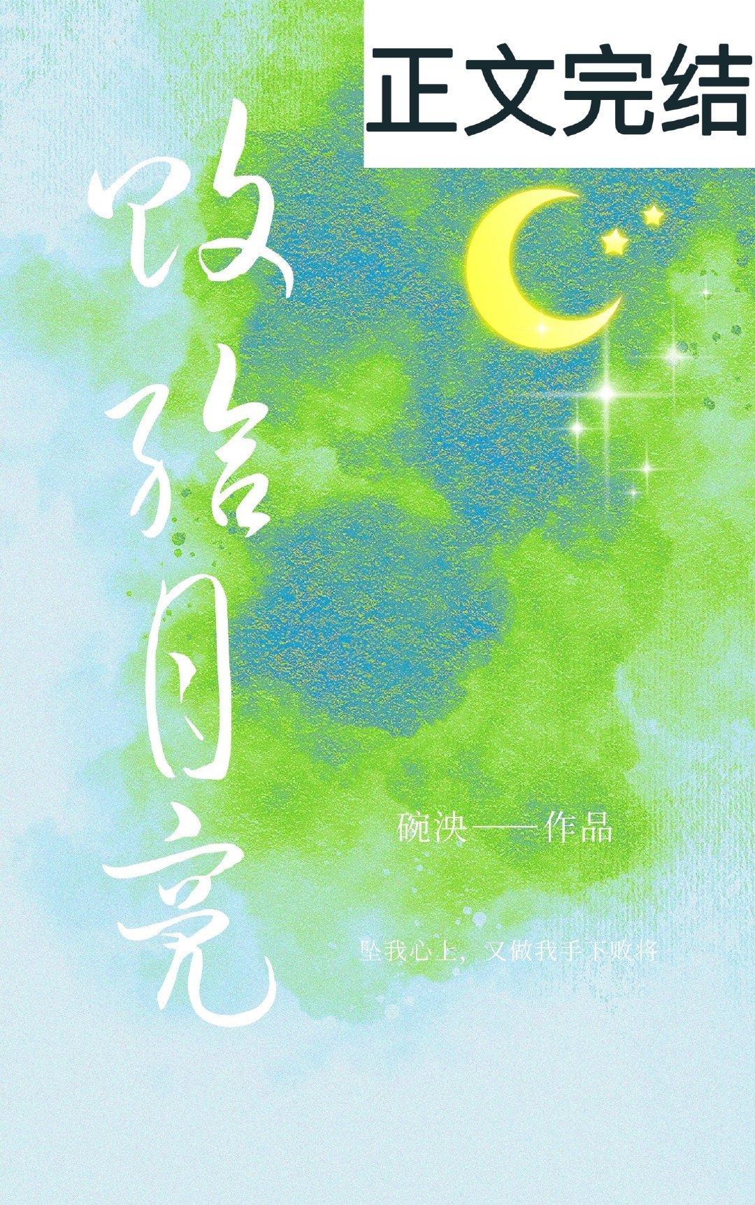 败给月亮封面