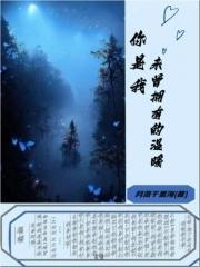 你是我未曾拥有的温暖封面