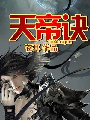 天帝诀封面