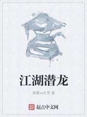 江湖潜龙封面