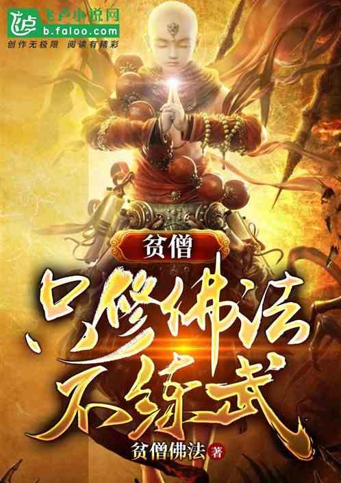 贫僧只修佛法不练武封面