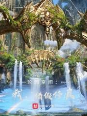 轮回空间：我，借假修真！封面