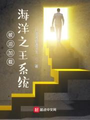 被迫加载海洋之王系统封面