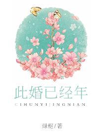 此婚已经年封面