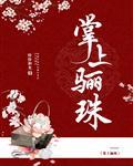 掌上骊珠封面