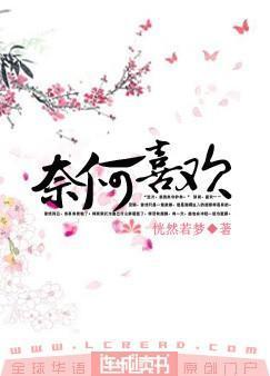 奈何喜欢封面