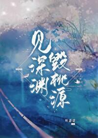 见深渊,毁桃源封面