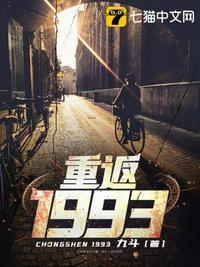 重返1993封面