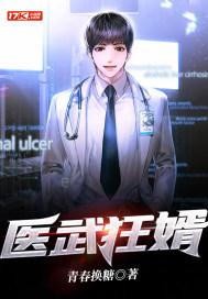 医武狂婿封面