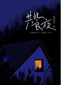共此良夜封面