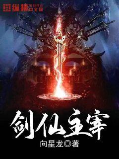 剑仙主宰封面