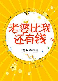 老婆比我还有钱封面