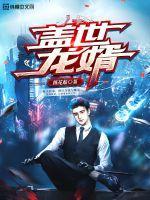 盖世龙婿封面