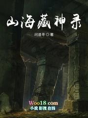 山海藏神录封面