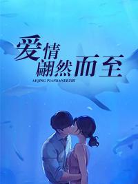 爱情翩然而至封面
