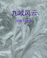 九域风云封面