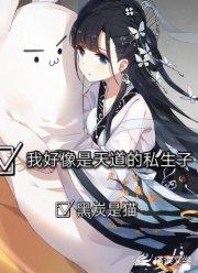 我好像是天道的私生子封面