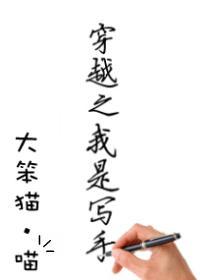 穿越之我是写手封面