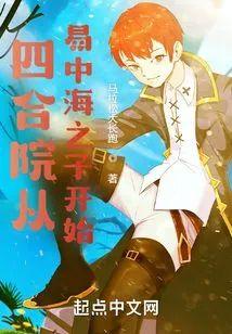 四合院从易中海之子开始封面