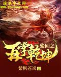 轮回之再掌乾坤封面