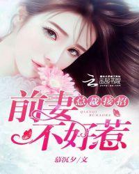 总裁接招：前妻不好惹封面