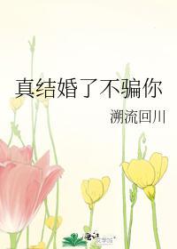 真结婚了不骗你封面