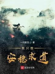 我只想安稳求道封面