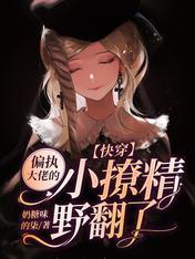 快穿：偏执大佬的小撩精野翻了封面