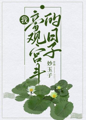 我旁观宫斗的日子封面