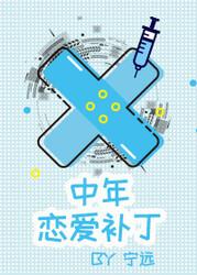 中年恋爱补丁封面