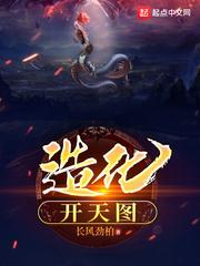 造化开天图封面