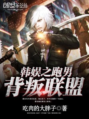 混迹在娱乐圈的日子封面