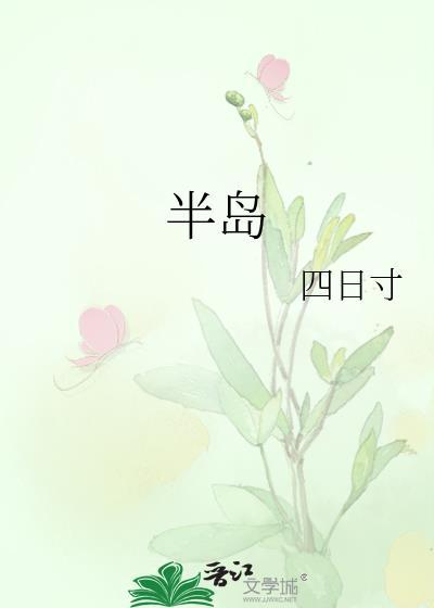 半岛封面