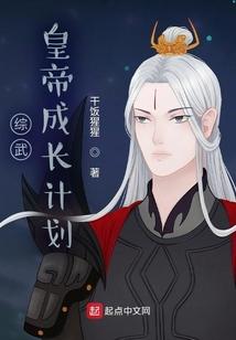 综武：皇帝成长计划封面