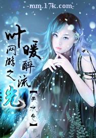 网游之叶暖醉流光封面