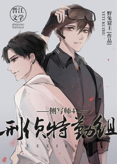 侧写师4:刑侦特勤组封面