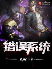 错误系统封面