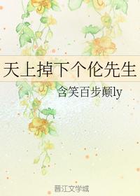 天上掉下个伦先生封面