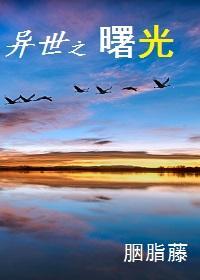 异世之曙光封面