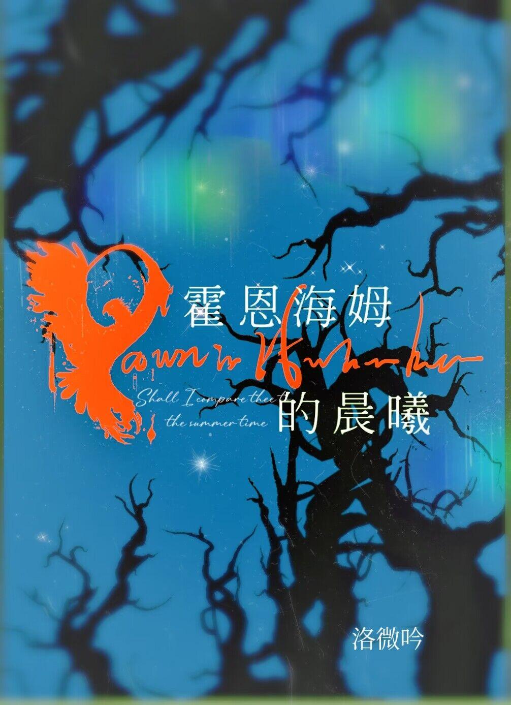 霍恩海姆的晨曦封面