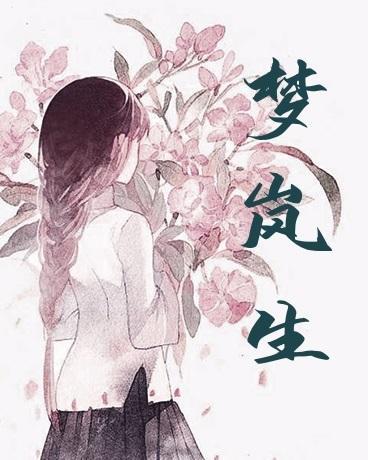 梦岚生封面