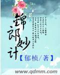 锦郎妙计封面