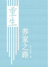 重生养家之路封面