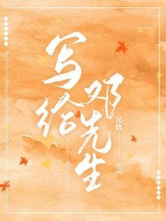 写给邓先生封面