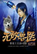 无敌兽医封面