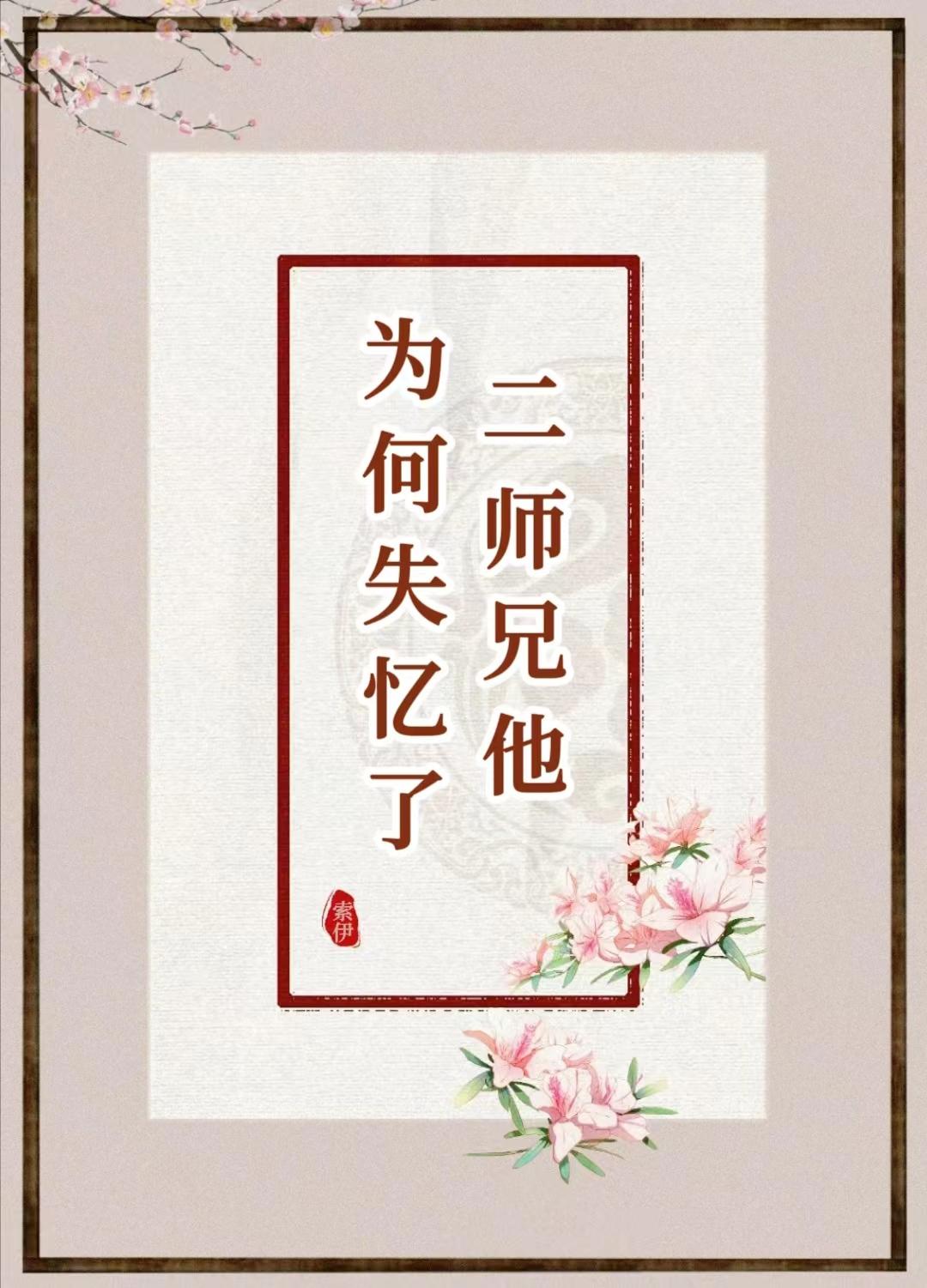 二师兄他为何失忆了封面